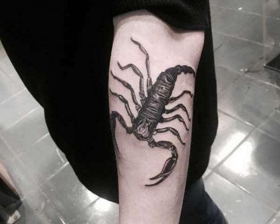 Tatuering skorpion: Betydelse, design, historia och foton Djur Tatuering idéer och betydelser Tatuering skorpion: Betydelse, design, historia och foton