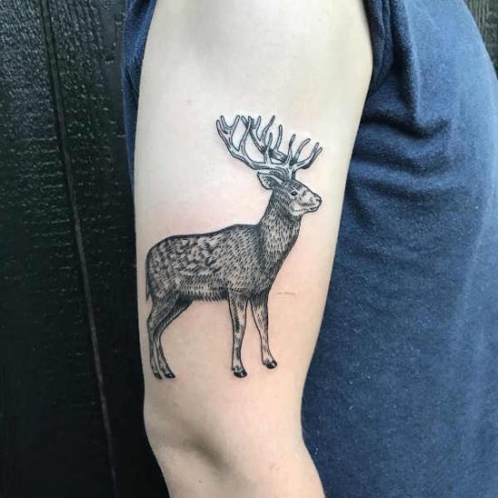 Tatuering Rådjur