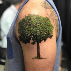 Träd tatuering: Betydelse, design, historia och foton