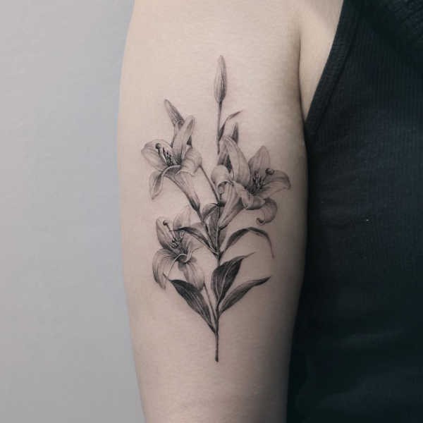 Lilja Tatuering